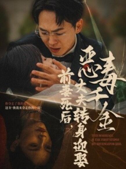 短剧《前妻死后，丈夫转身迎娶恶毒千金（前妻死后我和仇人再婚了）77集全》免费在线观看-第1张图片-力界网