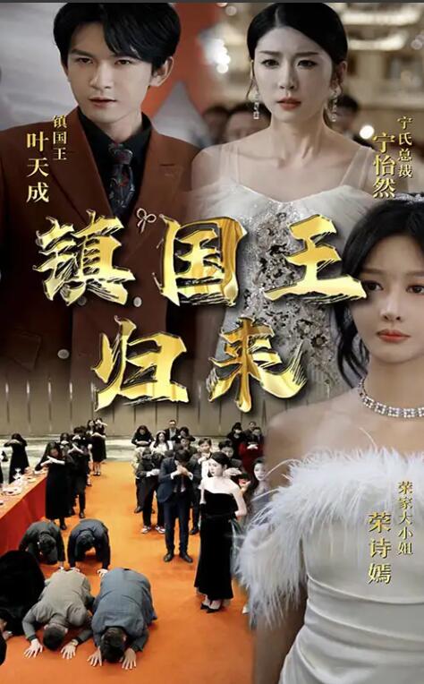 短剧《镇国王归来（95集全）》免费在线观看-第1张图片-力界网