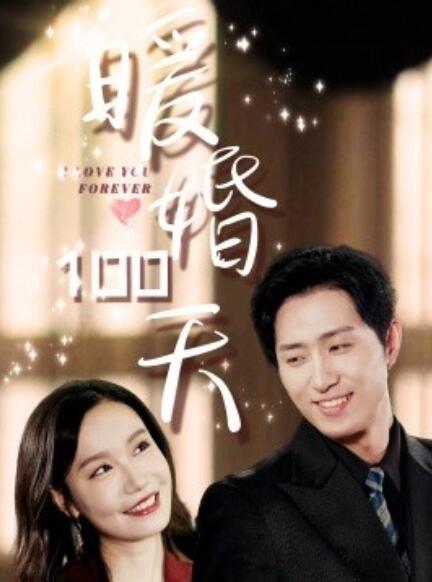 短剧《暖婚100天（85集全）》免费在线观看-第1张图片-力界网