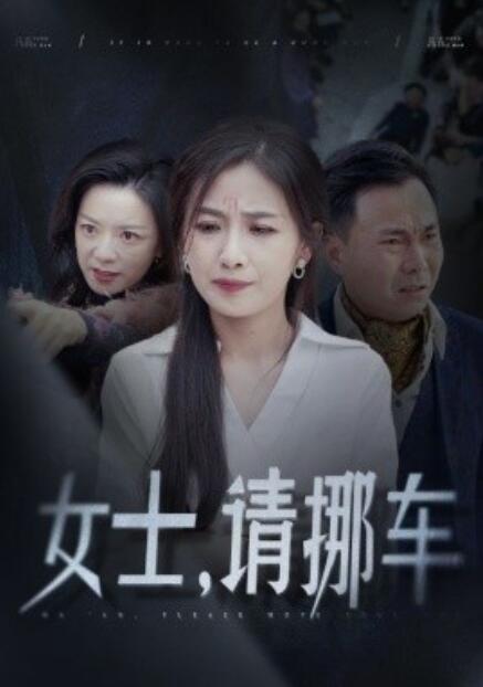 短剧《女士，请挪车（善门难开）29集全》免费在线观看-第1张图片-力界网
