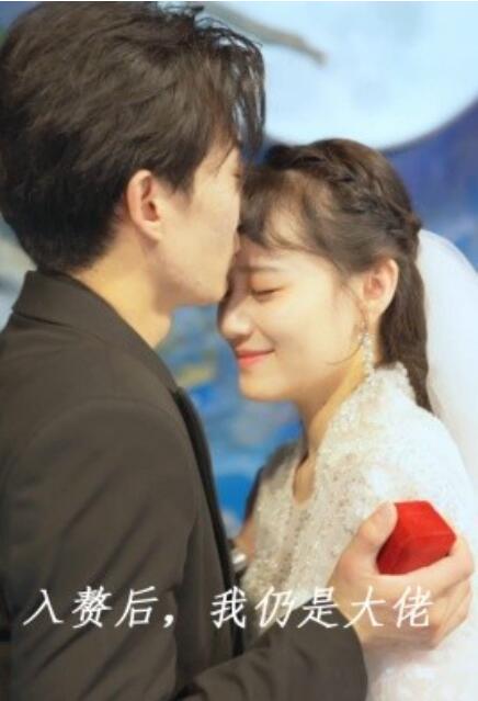 短剧《入赘后，我仍是大佬（100集全）》免费在线观看-第1张图片-力界网