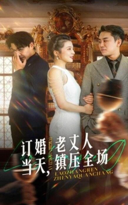 短剧《订婚当天，老丈人镇压全场（29集全）》免费在线观看-第1张图片-力界网