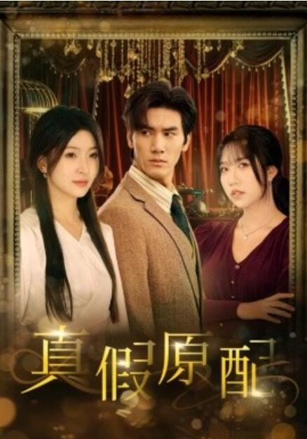 短剧《真假原配（35集全）》免费在线观看-第1张图片-力界网