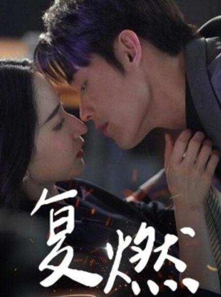 短剧《复燃（68集全）》免费在线观看-第1张图片-力界网