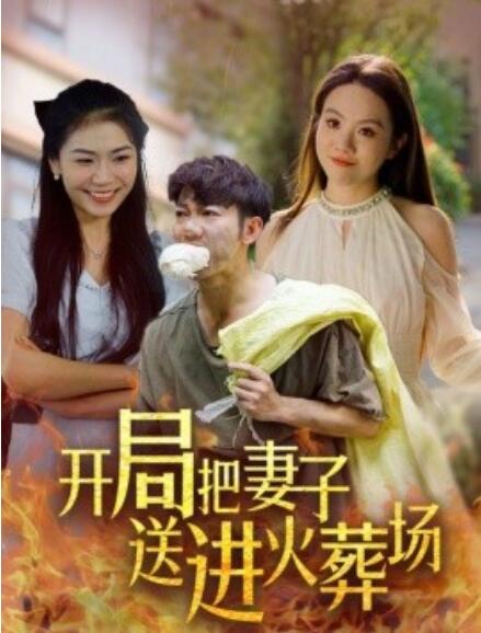 短剧《开局把妻子送进火葬场（再世重燃）45集全》免费在线观看-第1张图片-力界网