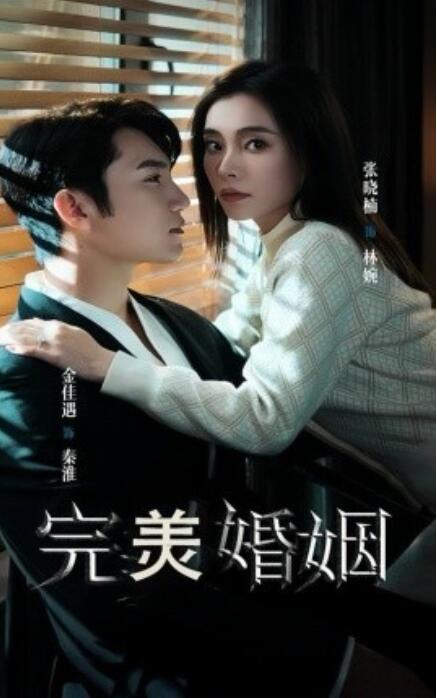 短剧《完美婚姻（65集全）》免费在线观看-第1张图片-力界网