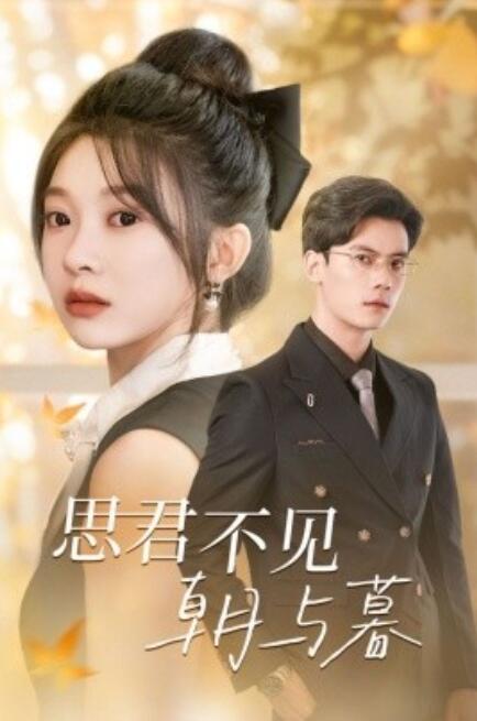 短剧《思君不见朝与暮（46集全）》免费在线观看-第1张图片-力界网