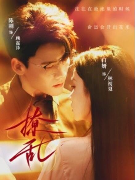 短剧《撩乱（缭乱）65集全》免费在线观看-第1张图片-力界网