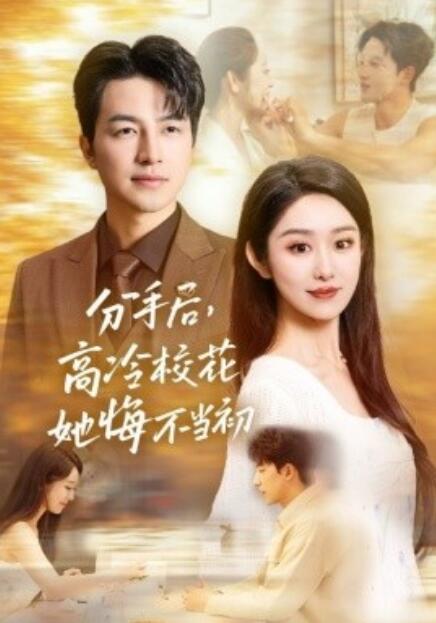 短剧《分手后，高冷校花她悔不当初（43集全）》免费在线观看-第1张图片-力界网