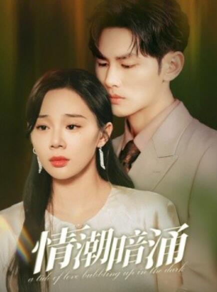 短剧《情潮暗涌（68集全）》免费在线观看-第1张图片-力界网
