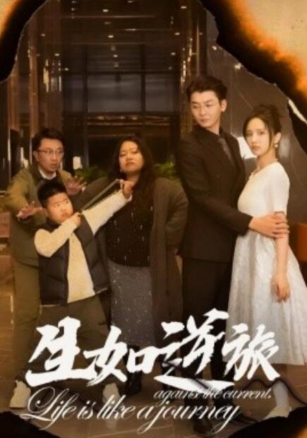 短剧《生如逆旅（31集全）》免费在线观看-第1张图片-力界网