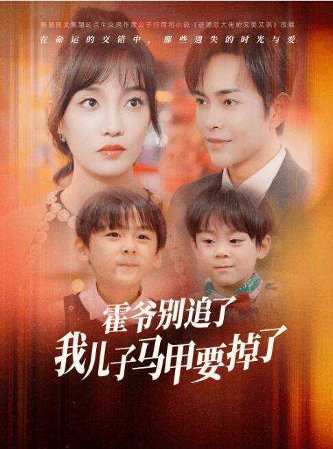 短剧《霍爷别追了我儿子马甲要掉了（80集全）》免费在线观看-第1张图片-力界网