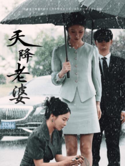 短剧《天降老婆（81集全）》免费在线观看-第1张图片-力界网
