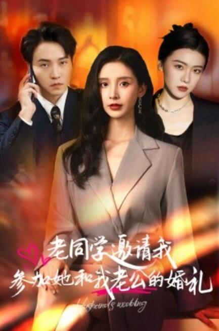 短剧《老同学邀请我参加她和我老公的婚礼（33集全）》免费在线观看-第1张图片-力界网