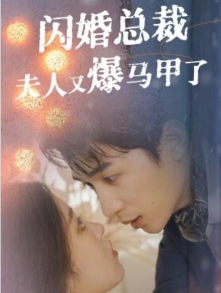 短剧《闪婚总裁夫人马甲又爆了（44集全）》免费在线观看-第1张图片-力界网