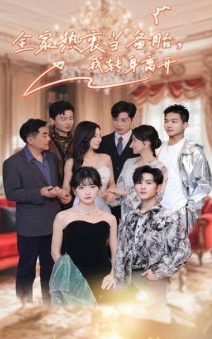 短剧《全家热衷当备胎，我转身离开（49集全）》免费在线观看-第1张图片-力界网