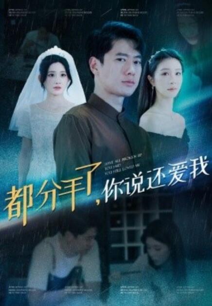 短剧《都分手了，你说还爱我（33集全）》免费在线观看-第1张图片-力界网