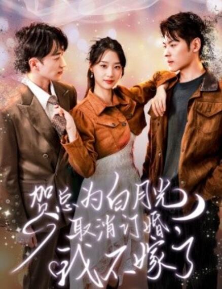 短剧《贺总为白月光取消订婚，我不嫁了（105集全）》免费在线观看-第1张图片-力界网