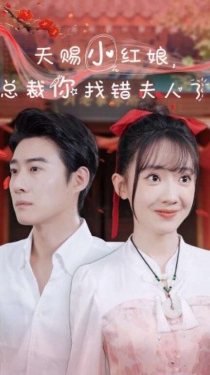 短剧《天赐小红娘，总裁你找错夫人了（65集全）》免费在线观看-第1张图片-力界网