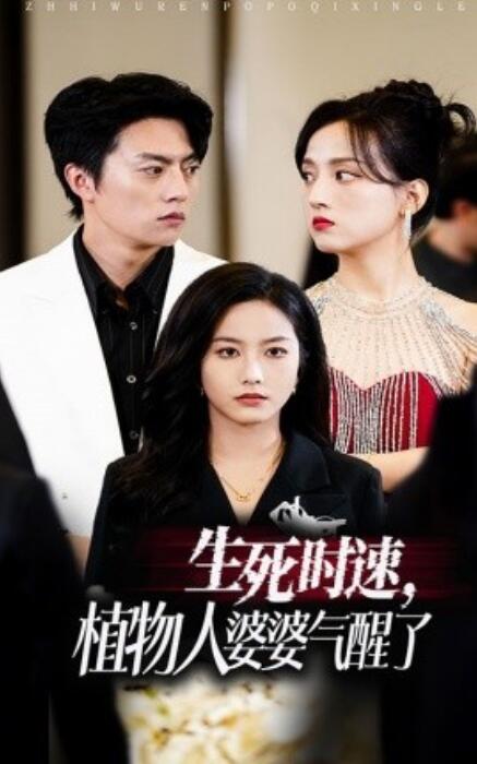 短剧《生死时速，植物人婆婆气醒了（37集全）》免费在线观看-第1张图片-力界网