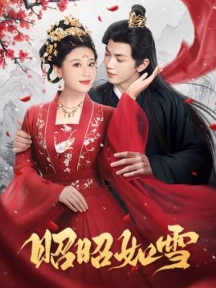短剧《昭昭如雪（60集全）》免费在线观看-第1张图片-力界网