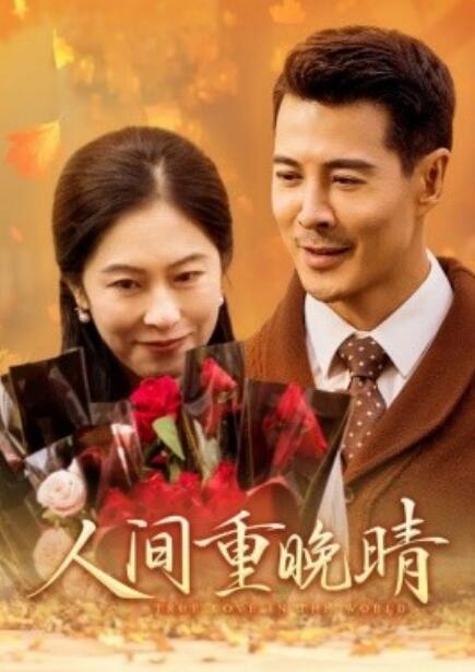 短剧《人间重晚情（38集全）》免费在线观看-第1张图片-力界网