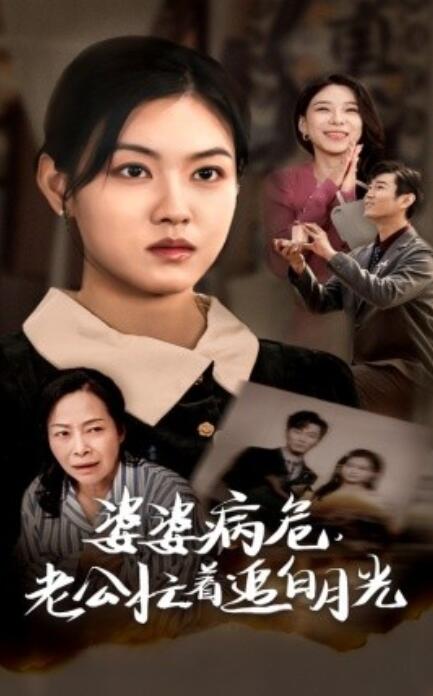 短剧《婆婆病危，老公忙着追白月光（35集全）》免费在线观看-第1张图片-力界网
