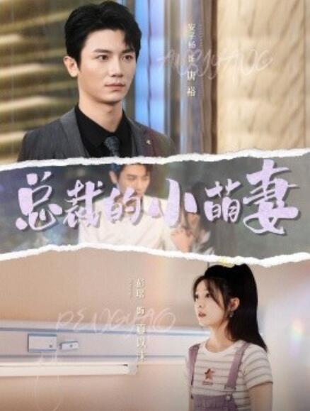 短剧《总裁的小萌妻（89集全）》免费在线观看-第1张图片-力界网