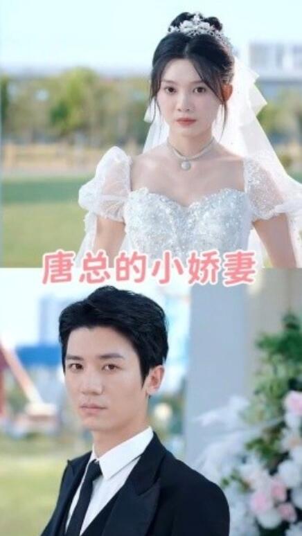 短剧《唐总的小娇妻（89集全）》免费在线观看-第1张图片-力界网