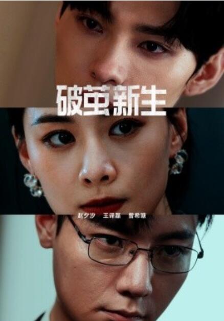 短剧《破茧新生（41集全）》免费在线观看-第1张图片-力界网
