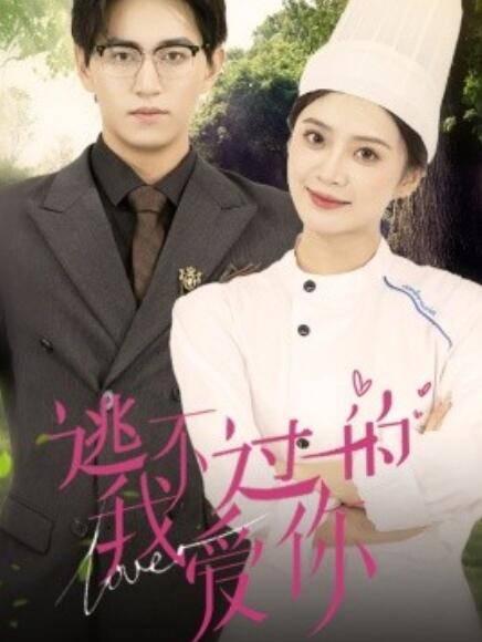 短剧《逃不过的我爱你（64集全）》免费在线观看-第1张图片-力界网