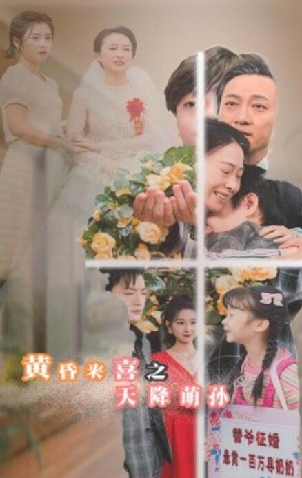 短剧《黄昏来喜之天降萌孙（60集全）》免费在线观看-第1张图片-力界网