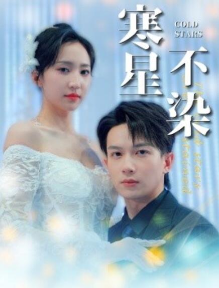 短剧《寒星不染（99集全）》免费在线观看-第1张图片-力界网