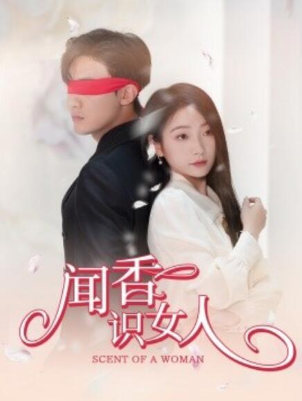 短剧《闻香识女人（58集全）》免费在线观看-第1张图片-力界网