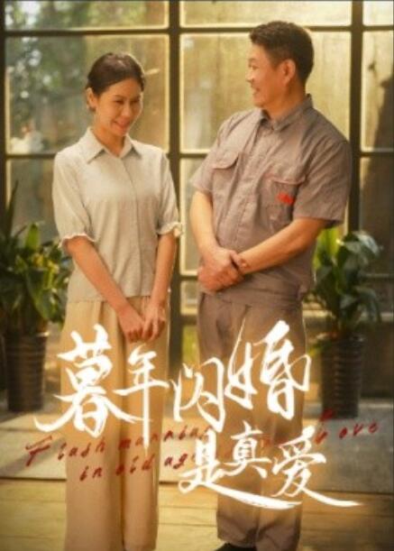 短剧《暮年闪婚是真爱（1-36集）》全集免费在线观看-第1张图片-力界网