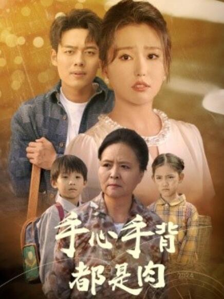 短剧《手心手背都是肉（1-80集）》全集免费在线观看-第1张图片-力界网