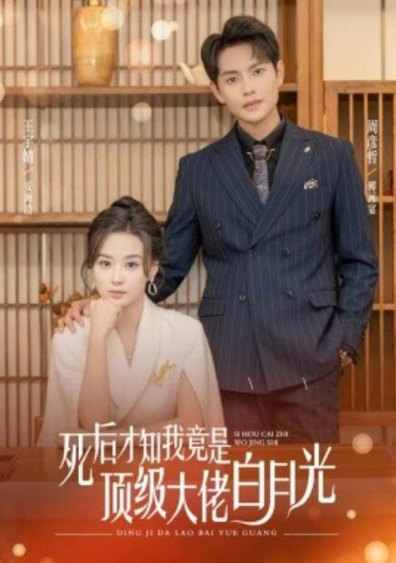 短剧《死后才知我是顶级大佬的白月光（1-60集）》全集免费在线观看-第1张图片-力界网