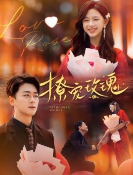 短剧《撩宠玫瑰（1-99集）》全集免费在线观看-第1张图片-力界网