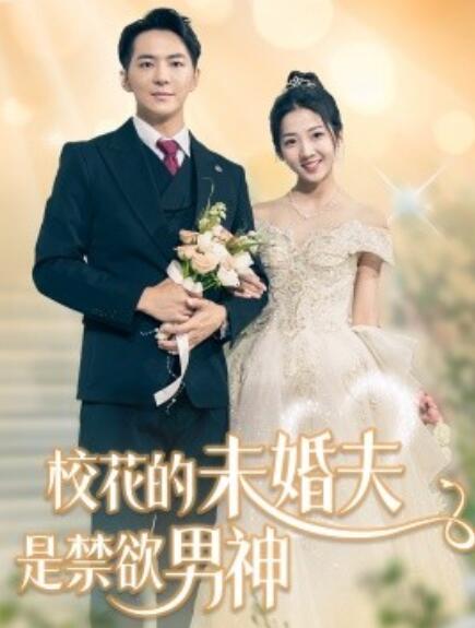 短剧《校花的未婚夫是禁欲男神（1-42集）》免费在线观看-第1张图片-力界网