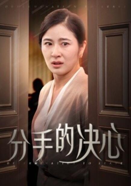 短剧《分手的决心（1-39集）》全集免费在线观看-第1张图片-力界网