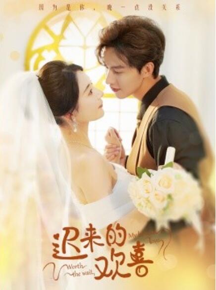 短剧《迟来的欢喜（1-81集）》全集免费在线观看-第1张图片-力界网