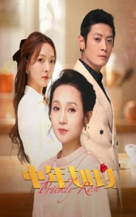 短剧《中年如玫（1-68集）》全集免费在线观看-第1张图片-力界网