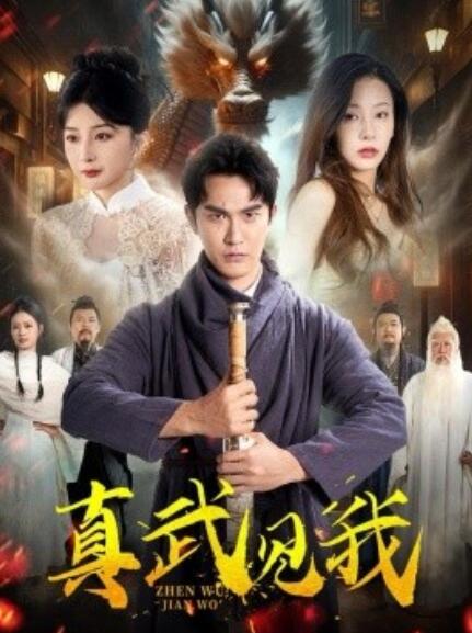 短剧《真武见我（1-60集）》全集免费在线观看-第1张图片-力界网