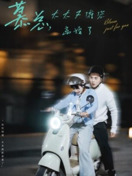 短剧《慕总，太太又催您离婚了（1-80集）》全集免费在线观看-第1张图片-力界网
