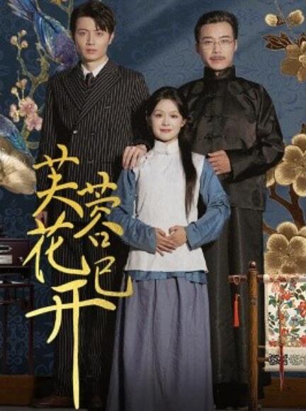 短剧《芙蓉花已开（1-65集）》全集免费在线观看-第1张图片-力界网