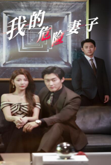 短剧《我的危险妻子（1-30集）》全集免费在线观看-第1张图片-力界网