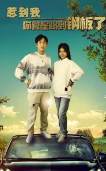 短剧《惹到我你算是踢到钢板了（1-58集）》全集免费在线观看-第1张图片-力界网