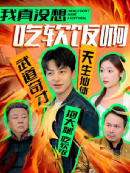 短剧《我真没想吃软饭啊（1-81集）》全集免费在线观看-第1张图片-力界网