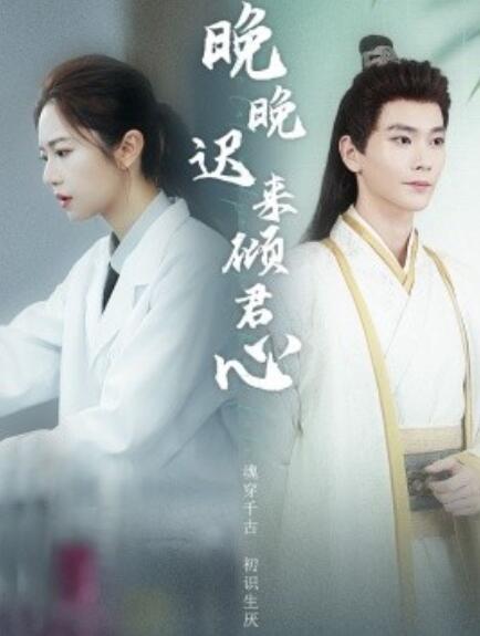 短剧《晚晚迟来倾君心（1-83集）》全集免费在线观看-第1张图片-力界网