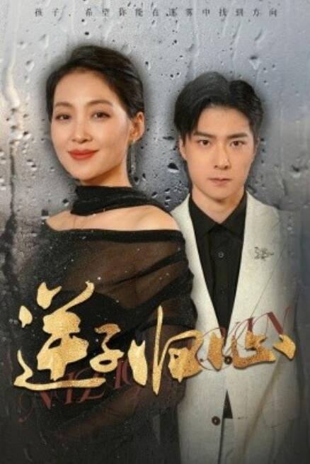 短剧《逆子归心（1-31集）》全集免费在线观看-第1张图片-力界网
